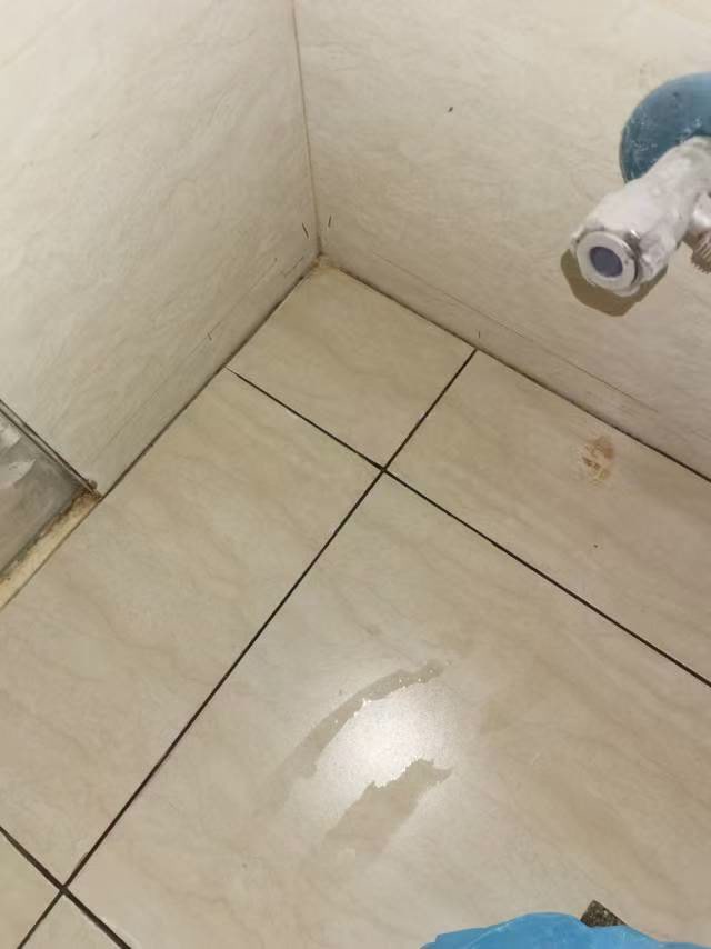 滨江彼岸5栋瓷砖缝切缝