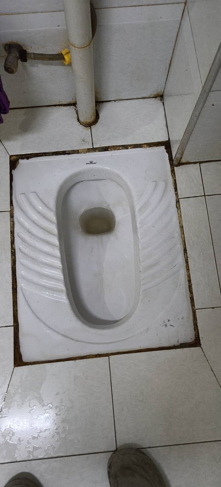 成华区卫生间维修：器具处理步骤留档：蹲便器及周边节点