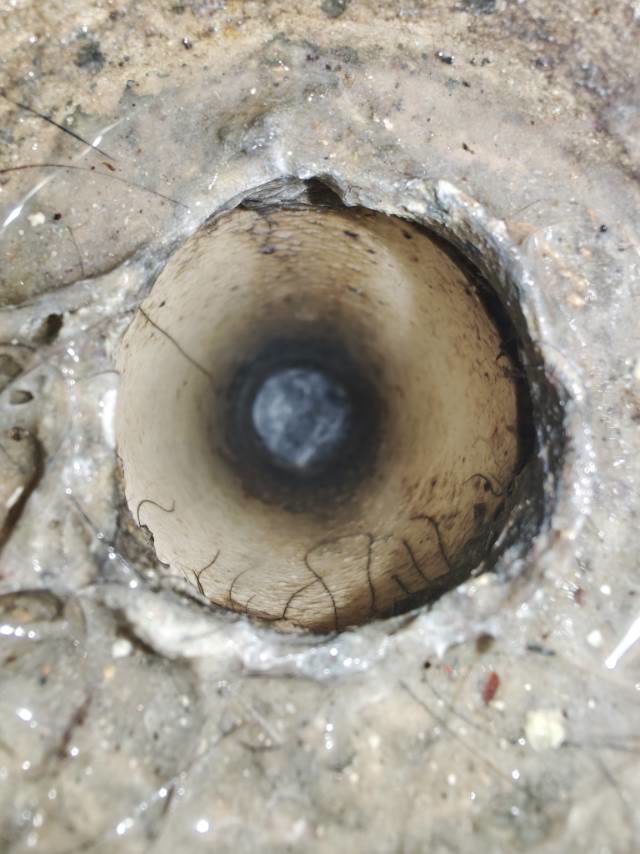 金科一城:马桶排水口与旧密封位置