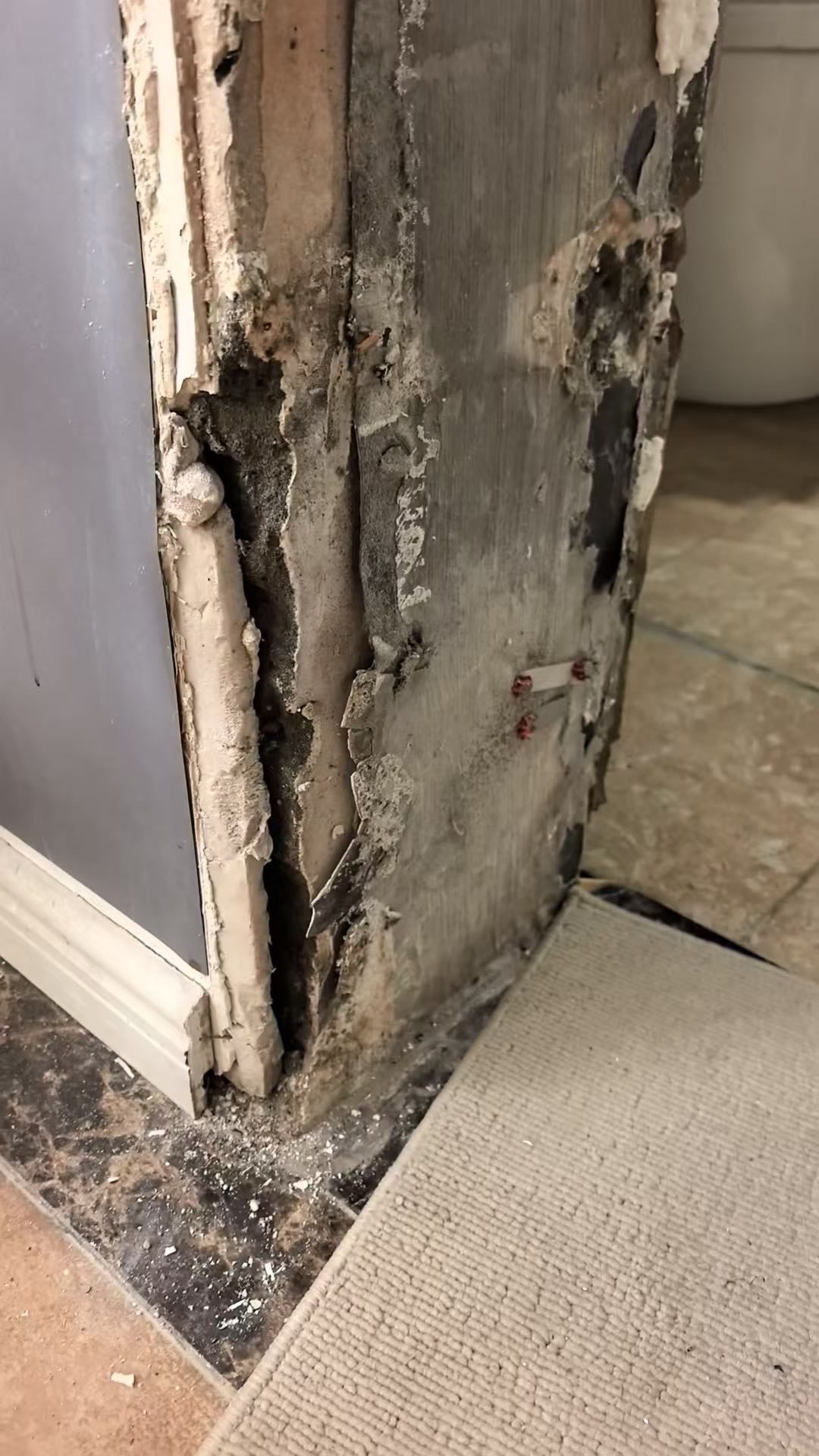 复地雍湖滩门口墙体返碱掉皮
