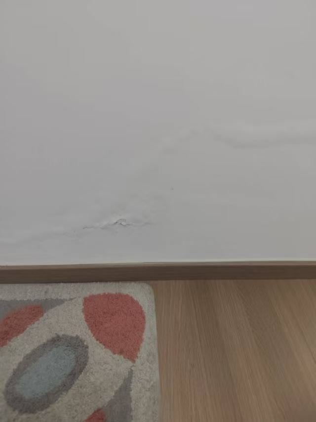 金座维尼谷门口墙面返碱掉皮