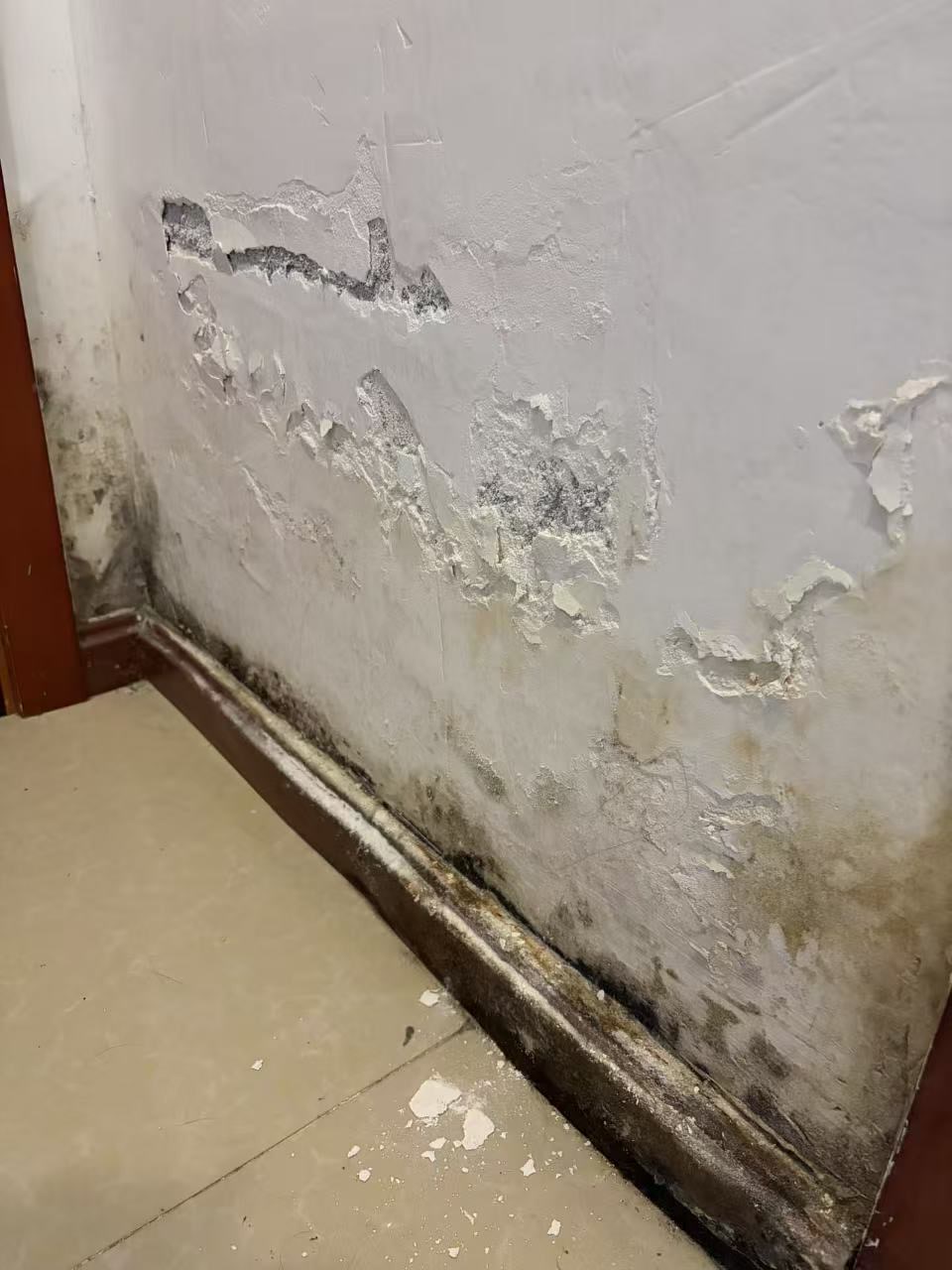 两江国际二期门口墙面返碱掉皮