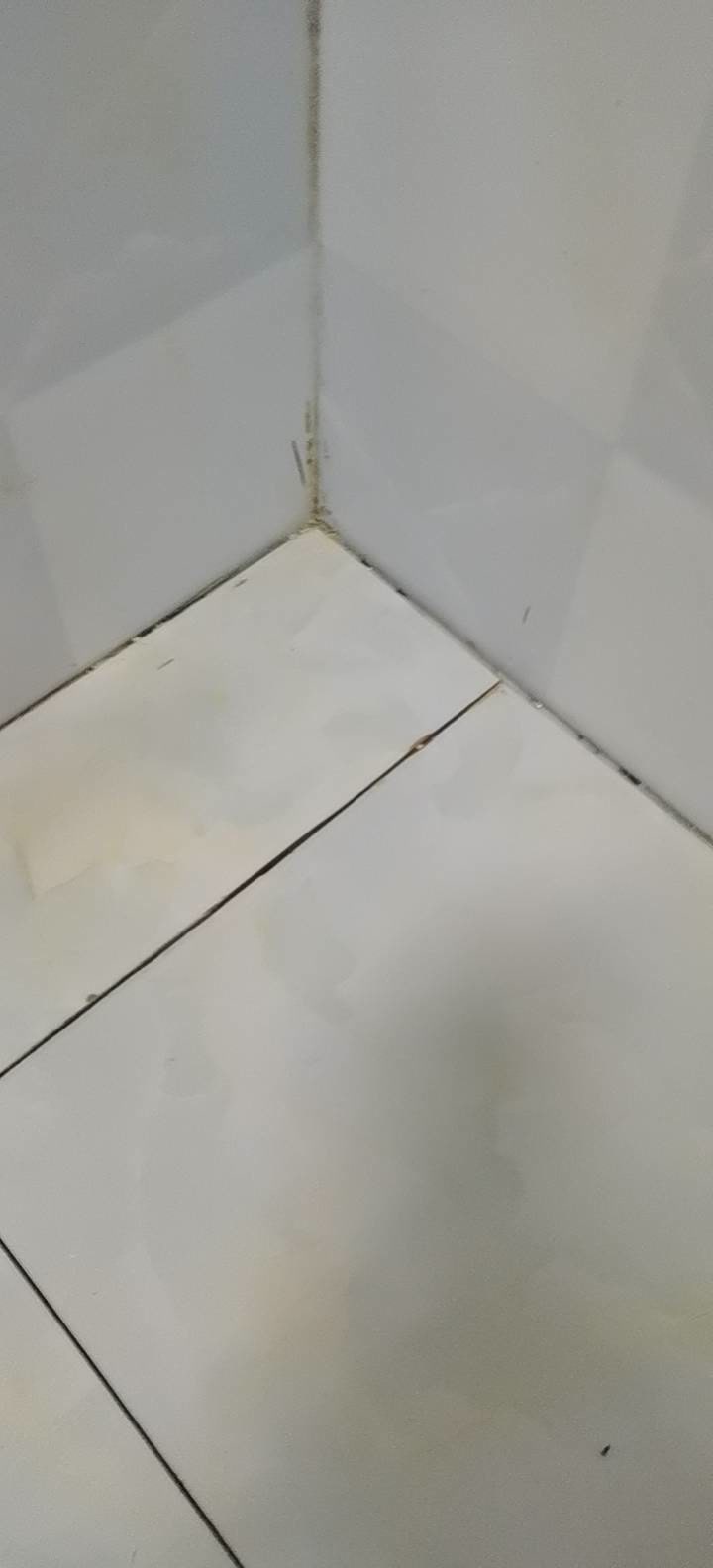 两江国际二期开裂砖缝清理