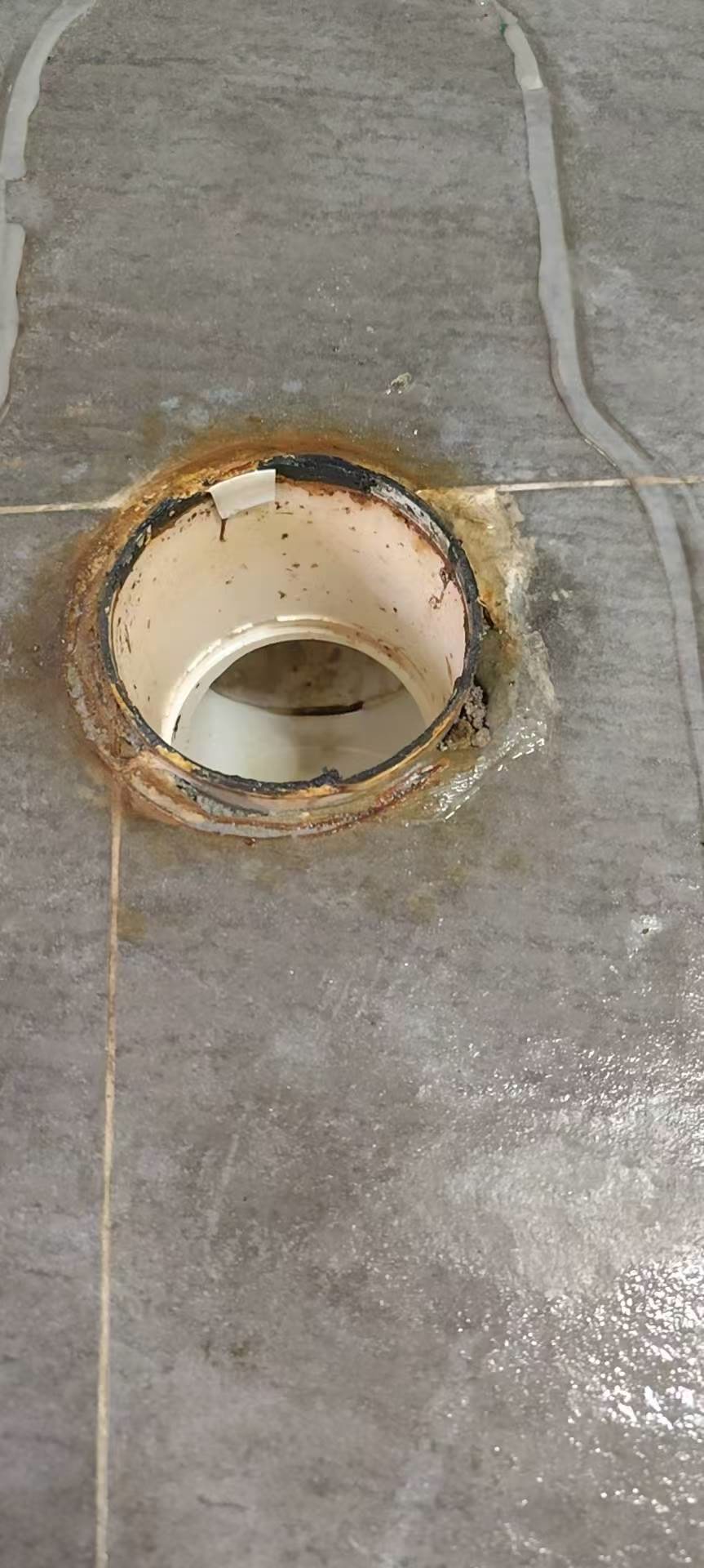 人居东苑小区马桶根部检查