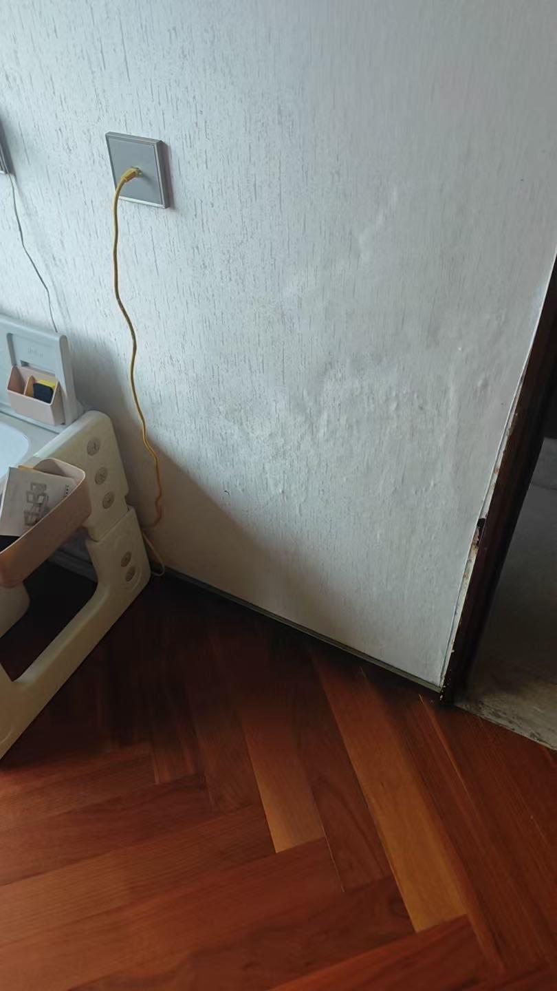 德商朗诗·麓湖熙华天玺北区:卫生间外侧墙面受潮