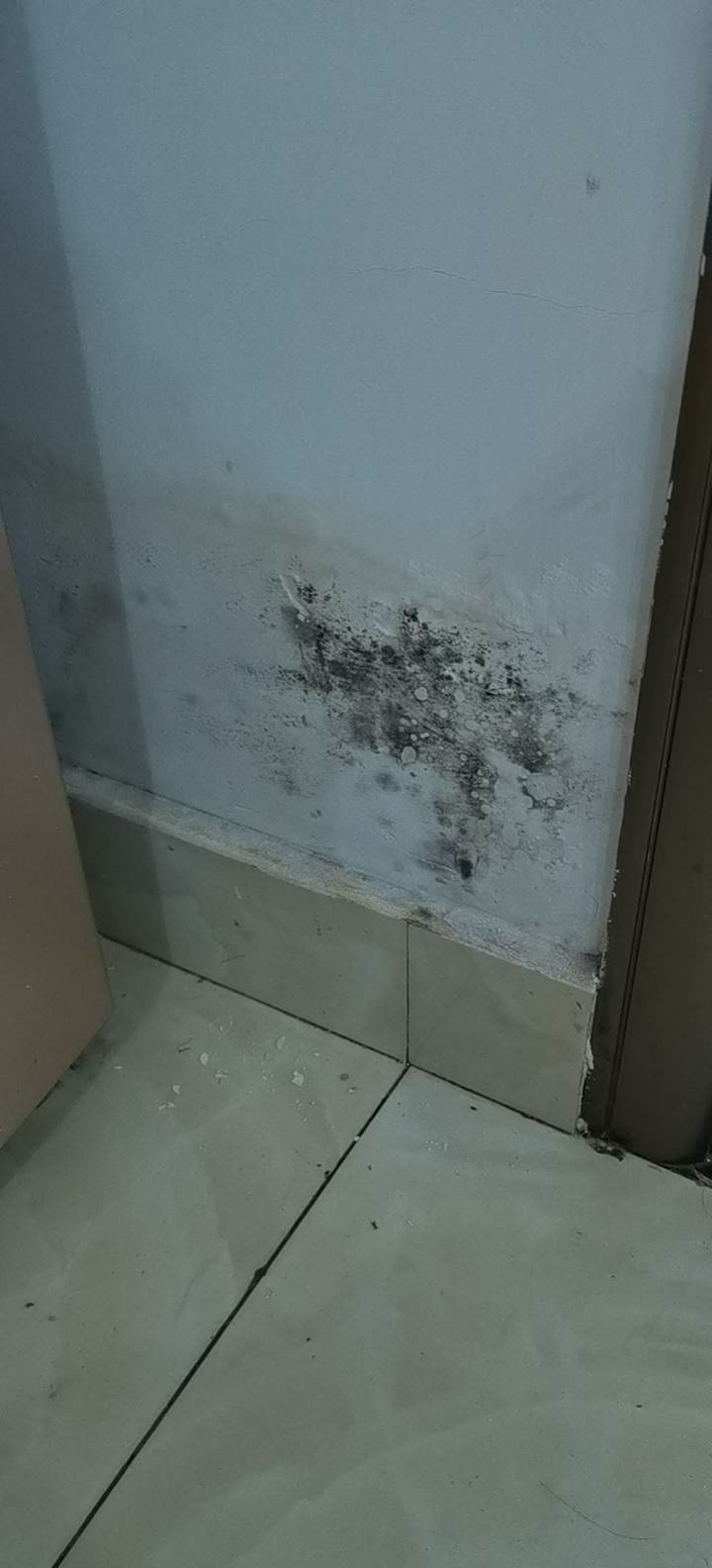 望江小区门口墙面霉斑