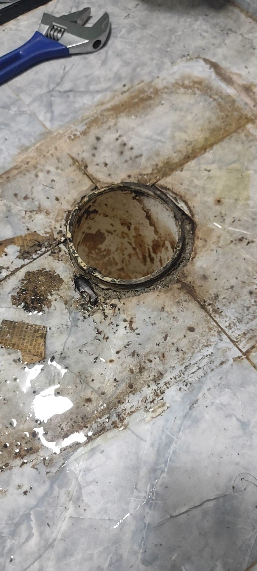 炜岸城三期马桶根部检查