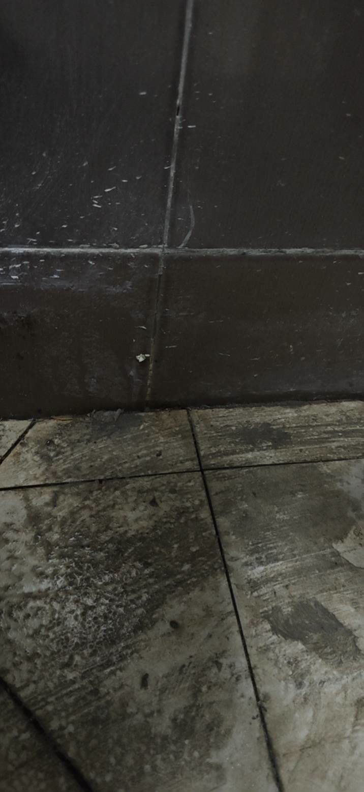 大庆蜀苑：旧地砖缝与墙脚状态
