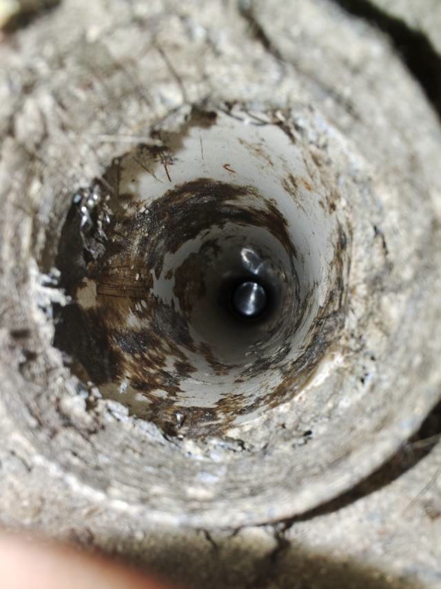 红牌楼长益商业寓所:地漏连接处近景
