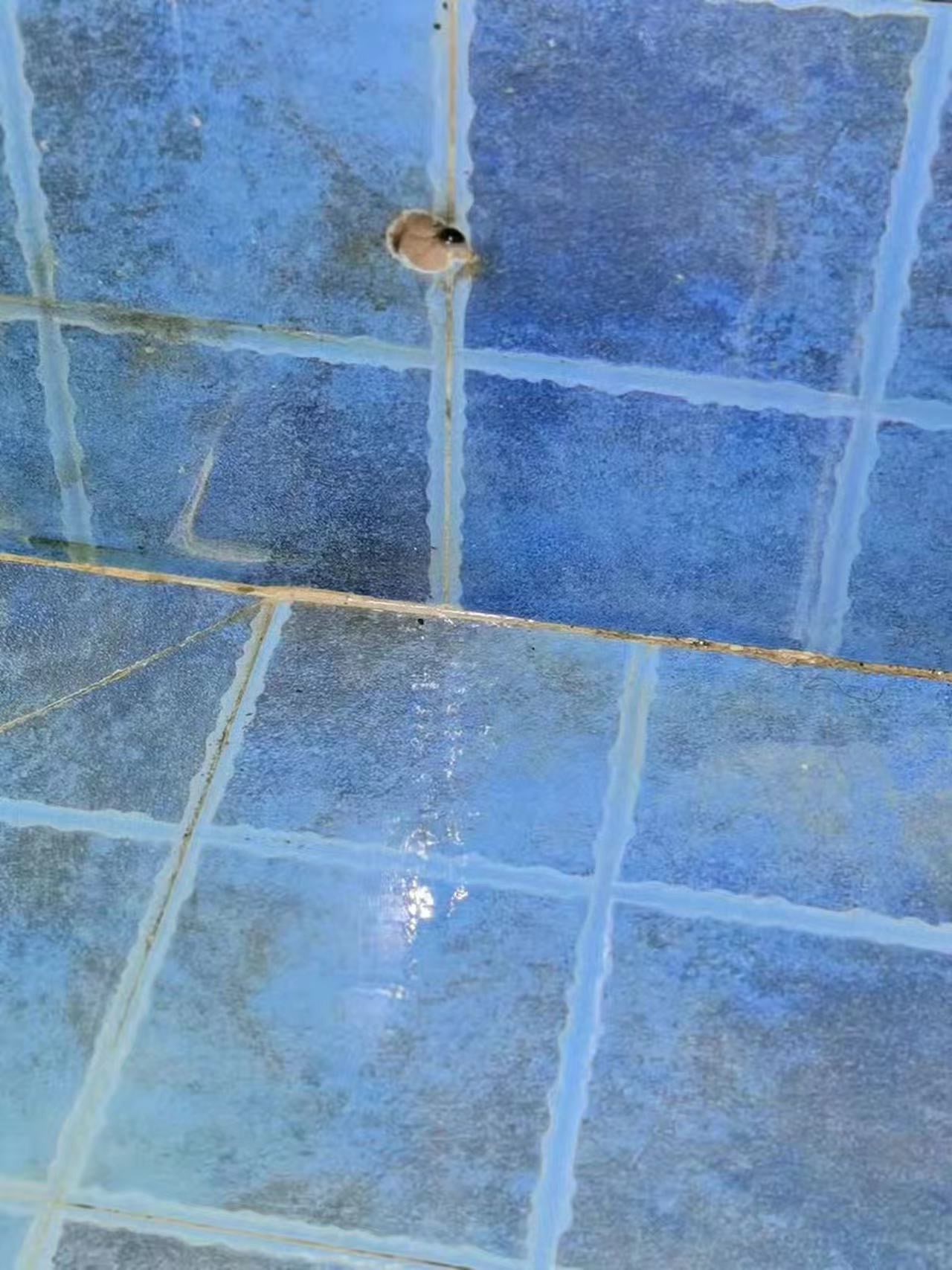 御延上郡瓷砖缝开裂